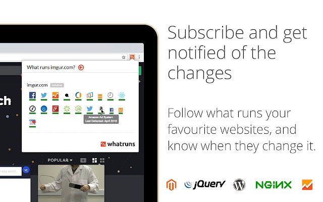 Whatruns: Discover Website Frameworks, Analytics Tools, Wordpress Plugins, Fonts